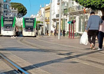 Tranvías sin corriente a la espera en la calle Real de San Fernando / FOTO: DBC