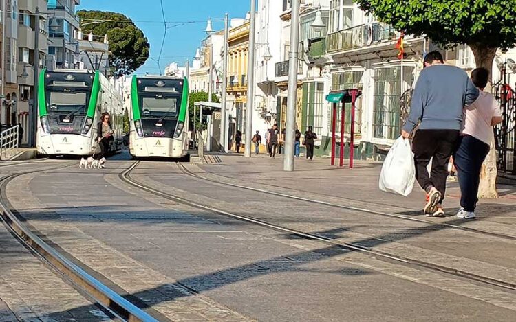 Tranvías sin corriente a la espera en la calle Real de San Fernando / FOTO: DBC