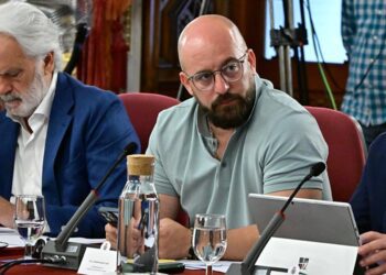 Beardo, con el móvil en mano, en el pleno de la Diputación / FOTO: Eulogio García