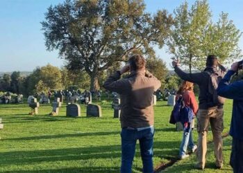 Avistamiento de pájaros entre tumbas / FOTO: Cemabasa