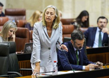 La consejera de Salud respondiendo desde su escaño / FOTO: Junta