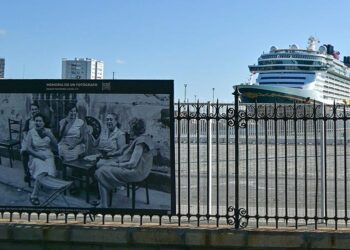 El 'Disney Fantasy' atracado en el muelle de la capital / FOTO: Eulogio García