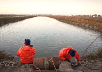 Trabajando en uno de los esteros en uso de la Bahía / FOTO: CTAQUA
