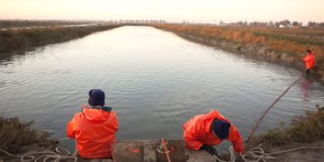 Trabajando en uno de los esteros en uso de la Bahía / FOTO: CTAQUA