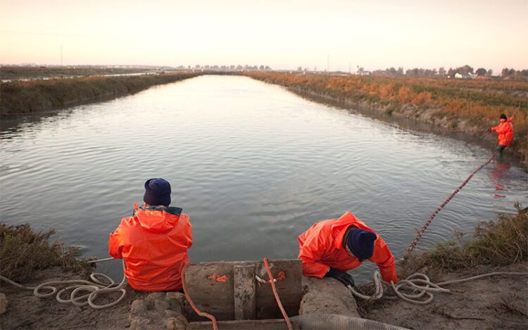Trabajando en uno de los esteros en uso de la Bahía / FOTO: CTAQUA