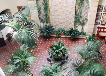 Una veintena de patios participa en el festejo / FOTO: Ayto.