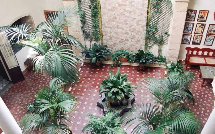 Una veintena de patios participa en el festejo / FOTO: Ayto.