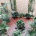 Una veintena de patios participa en el festejo / FOTO: Ayto.