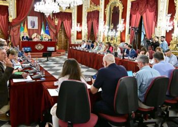 Un momento del pleno mensual / FOTO: Eulogio García