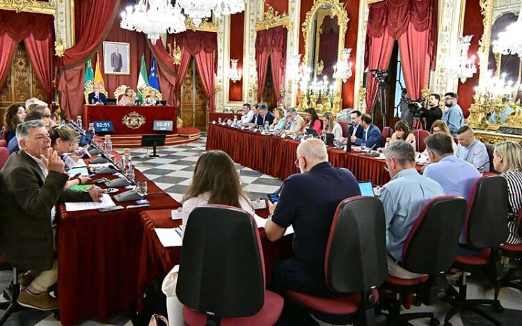Un momento del pleno mensual / FOTO: Eulogio García