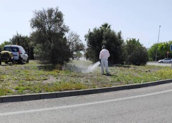 Operario aplicando herbicida en una rotonda de Jerez / FOTO: Ecologistas en Acción