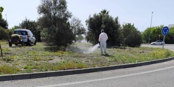 Operario aplicando herbicida en una rotonda de Jerez / FOTO: Ecologistas en Acción