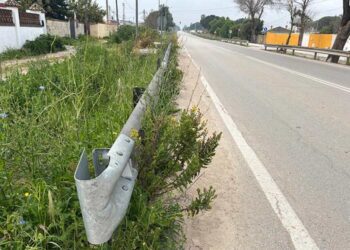 Cunetas asalvajadas / FOTO: Ayto.