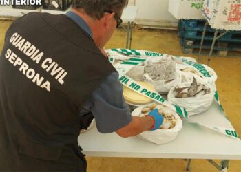 Interviniendo alimento en una caseta / FOTO: Guardia Civil