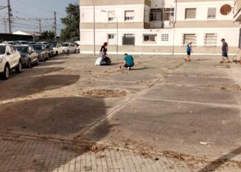 Vecinos eliminando las malas hierbas de la zona / FOTO: cedida
