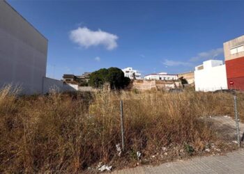 La asalvajada parcela a la espera de alguna actuación / FOTO: PP