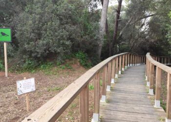 La pasarela del pinar vuelve a estar operativa / FOTO: Ayto.