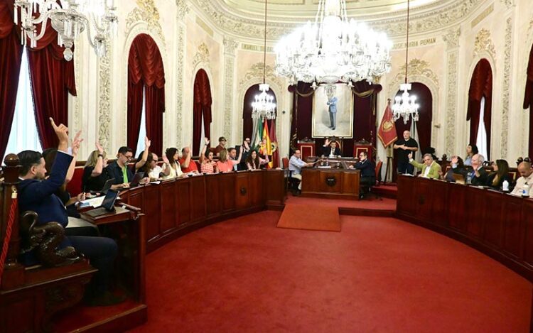 PP y PSOE votando juntos uno de los puntos / FOTO: Eulogio García