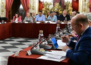 La bancada del PP y de La Línea 100x100 en el pleno de mayo / FOTO: Eulogio García