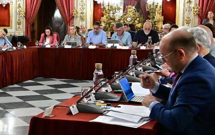 La bancada del PP y de La Línea 100x100 en el pleno de mayo / FOTO: Eulogio García