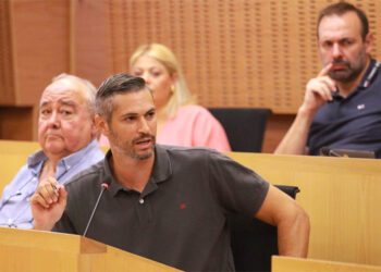 El portavoz socialista interviniendo en el pleno / FOTO: PSOE