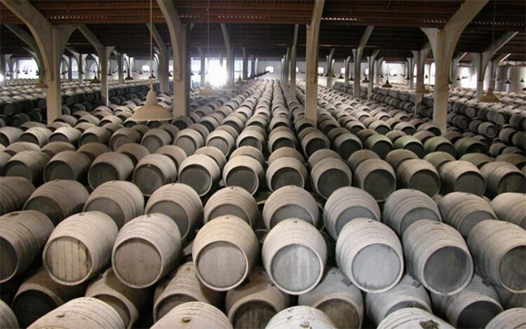 Detalle de las bodegas de José Estévez / FOTO: Grupo Estévez