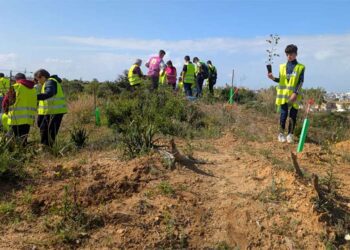 Escolares participando en la plantación de nuevos ejemplares / FOTO: Ayto.