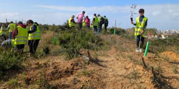 Escolares participando en la plantación de nuevos ejemplares / FOTO: Ayto.