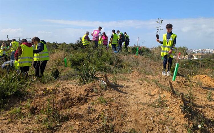 Escolares participando en la plantación de nuevos ejemplares / FOTO: Ayto.