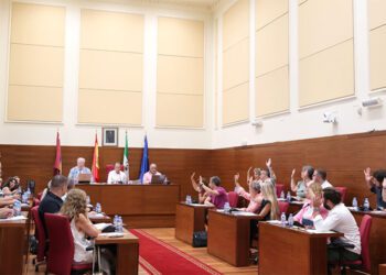 Un momento del pleno / FOTO: Ayto.