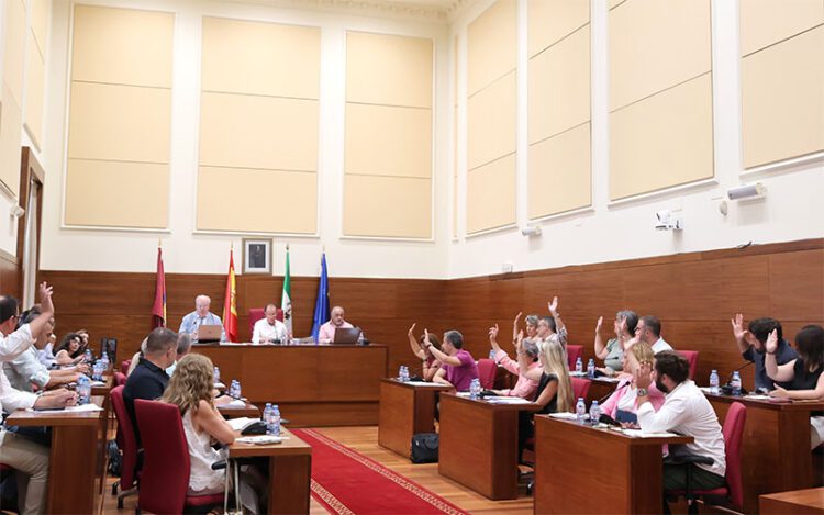 Un momento del pleno / FOTO: Ayto.