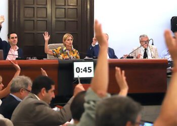 Votando uno de los puntos del pleno de julio / FOTO: Ayto.