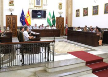 Un momento del pleno extraordinario / FOTO: Ayto.