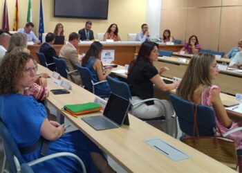 Un momento de la Junta General del ente / FOTO: Mancomunidad