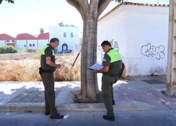 Evaluando el estado de un árbol en la calle Azufre / FOTO: Ayto.