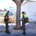 Evaluando el estado de un árbol en la calle Azufre / FOTO: Ayto.