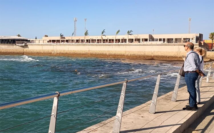 Las obras de Calachica en las últimas semanas, al fondo / FOTO: DBC