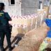 Incautadas casi 600 petacas de gasolina / FOTO: Guardia Civil