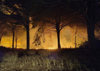 El fuego en sus primeras horas / FOTO: Ayto.