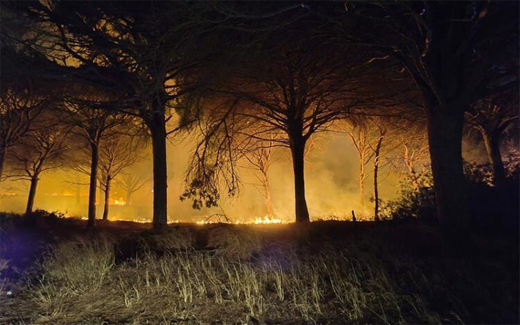 El fuego en sus primeras horas / FOTO: Ayto.