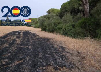 Zona de pasto y maleza quemada / FOTO: Policía Nacional