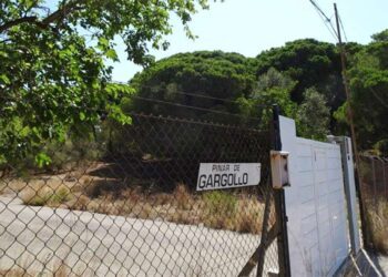 Acceso a la finca donde se proyectaba el camping / FOTO: Ecologistas en Acción