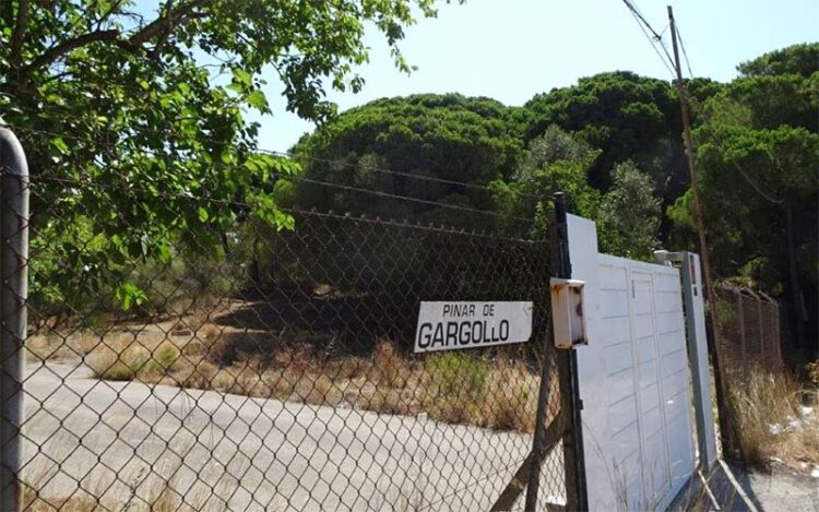 Acceso a la finca donde se proyectaba el camping / FOTO: Ecologistas en Acción