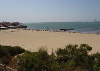 Asomado a la playa de La Muralla / FOTO: Ecologistas en Acción