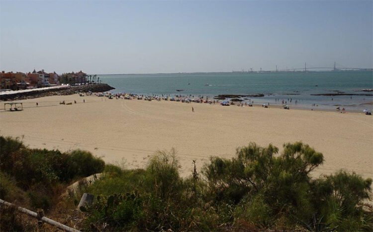 Asomado a la playa de La Muralla / FOTO: Ecologistas en Acción