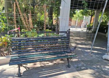 Parte de la valla colocada en Candelaria / FOTO: AIG