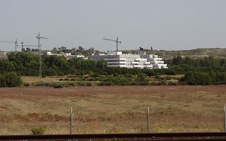 Suelos de Vega de los Pérez con El Madrugador al fondo / FOTO: Ecologistas en Acción