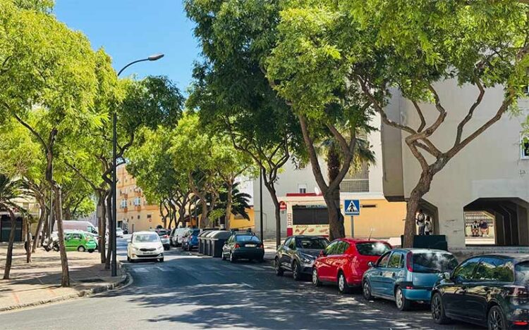 La avenida Duque de Arcos hoy / FOTO: Ayto.