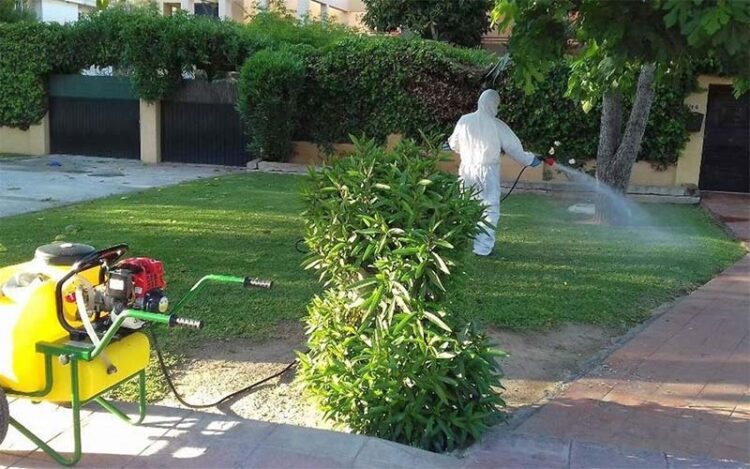 Trabajos de desinsectación preventiva llevados a cabo años atrás / FOTO: Ayto.