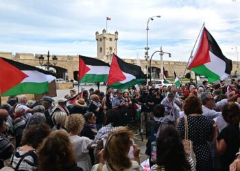 Una reciente concentración pro-palestina ante Subdelegación / FOTO: Eulogio García